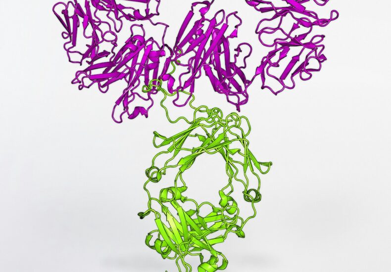 a purple and green string sculpture on a white surface